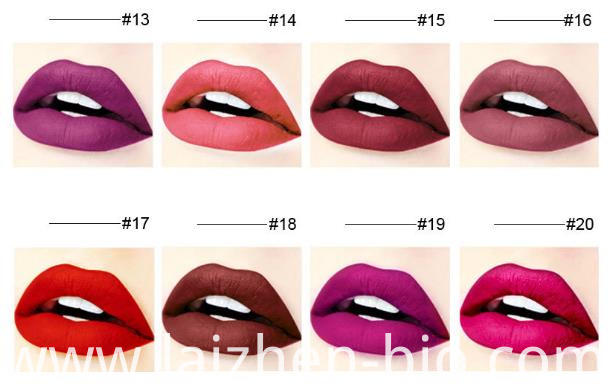 Custom Matte Liquid Lip Gloss Custom Matte Liquid Lip Gloss